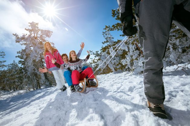 Sledging